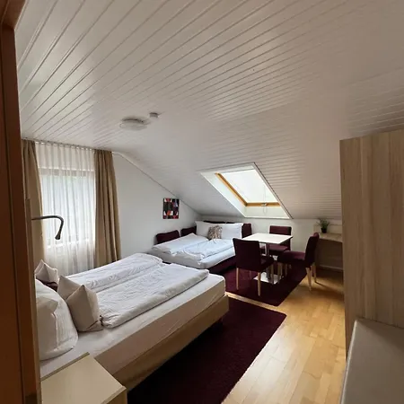 Hotel Haus Mechthild Sindelfingen-maichingen Self Check-in 3*